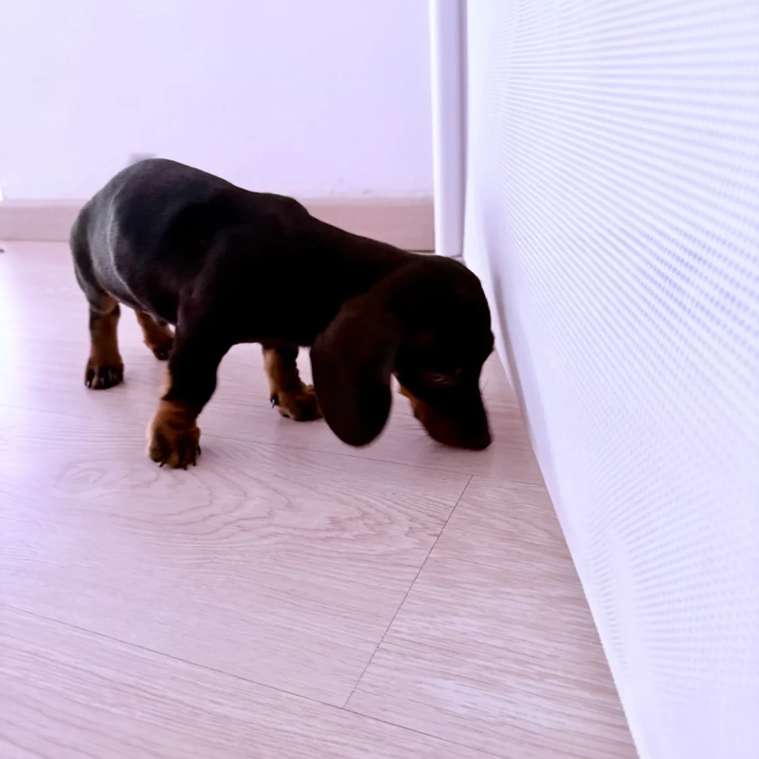 por-qué-nuestros-servcios-son-los-mejores